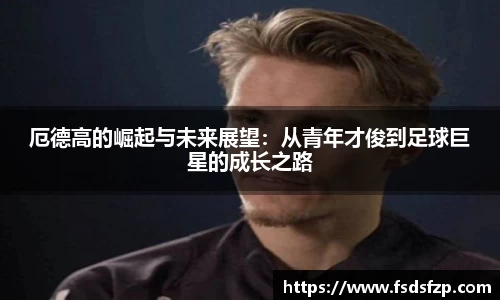 熊猫体育平台